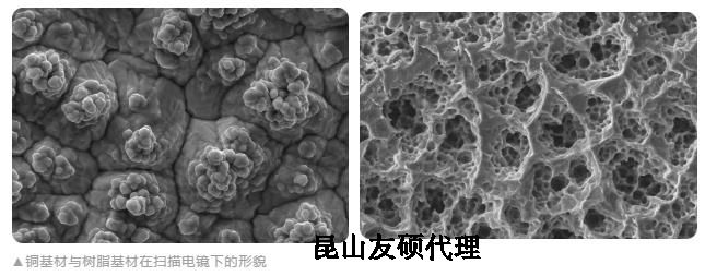 黑河蔡司黑河扫描电镜